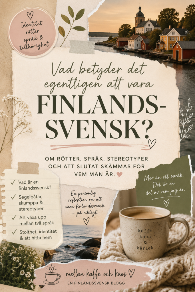 vad betyder det att vara finlandssvensk