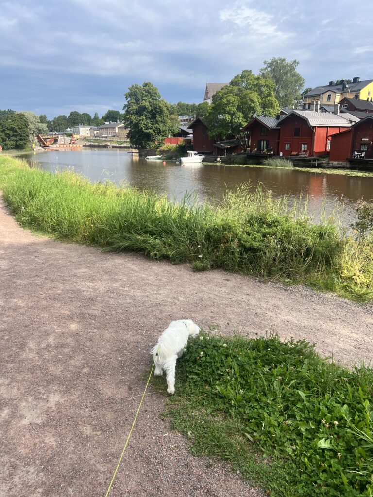 finlandssvensk blogg