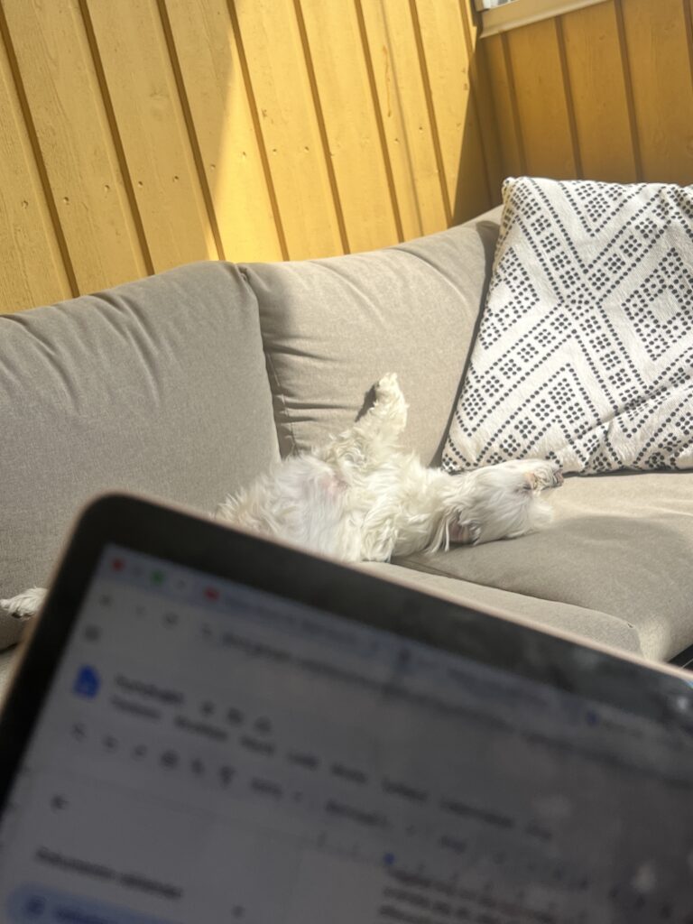 kaos och kaffe