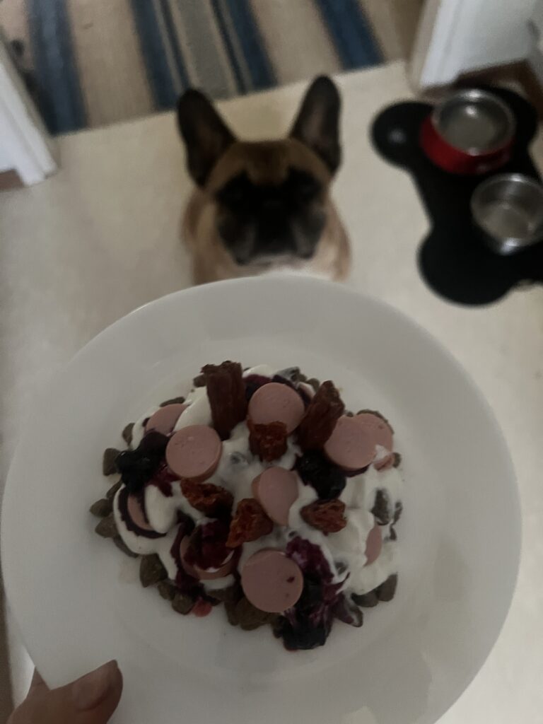 mumsiga hundtårtan