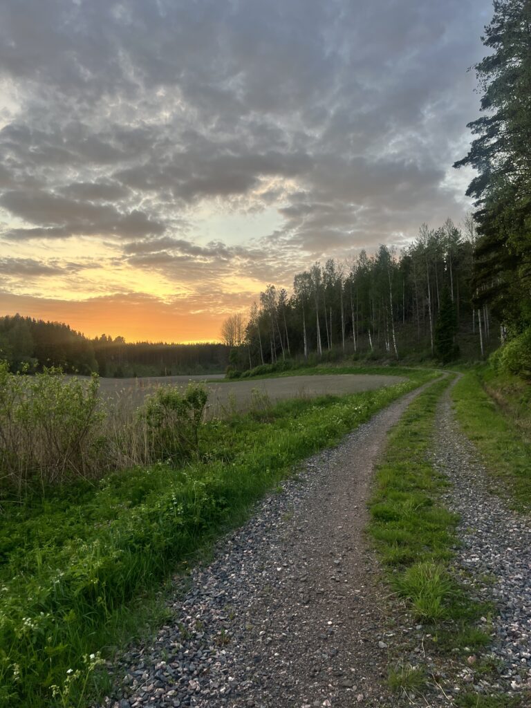 Lugn landsväg i naturen under en vacker solnedgång, en bild av nya vägar och att börja om.