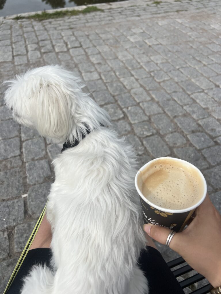 kaffe vid borgå å