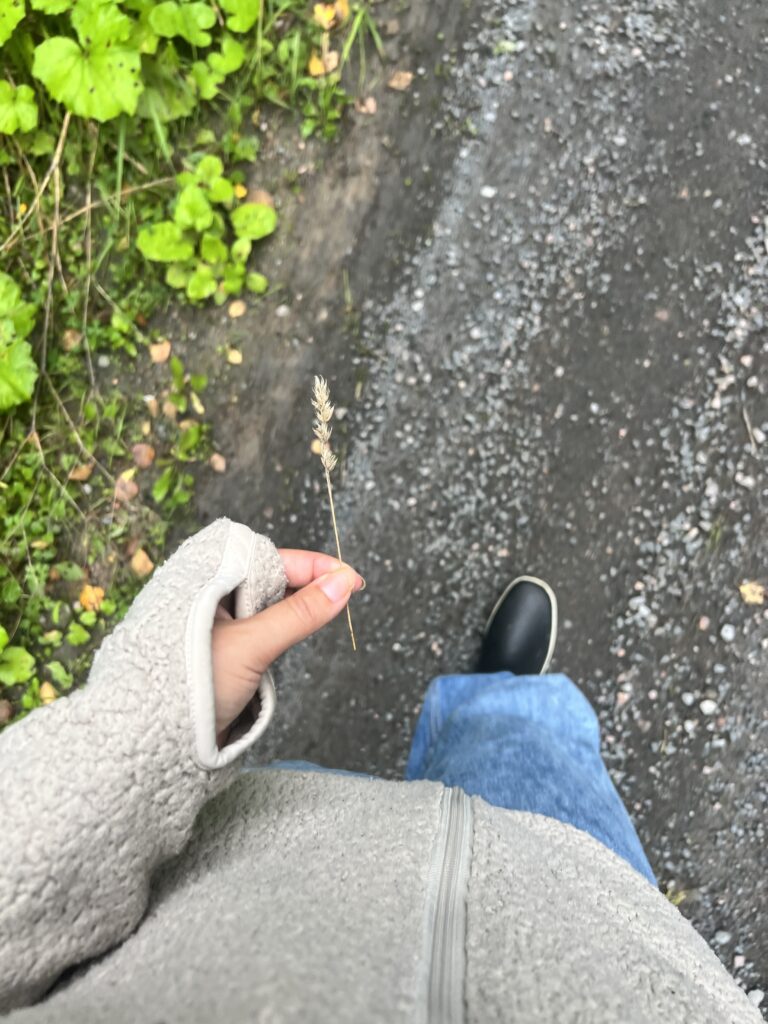 lugn in vardagen