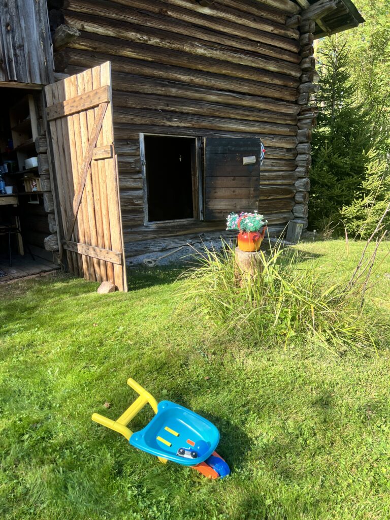 Stugliv på en liten stuga omgiven av natur i Finland