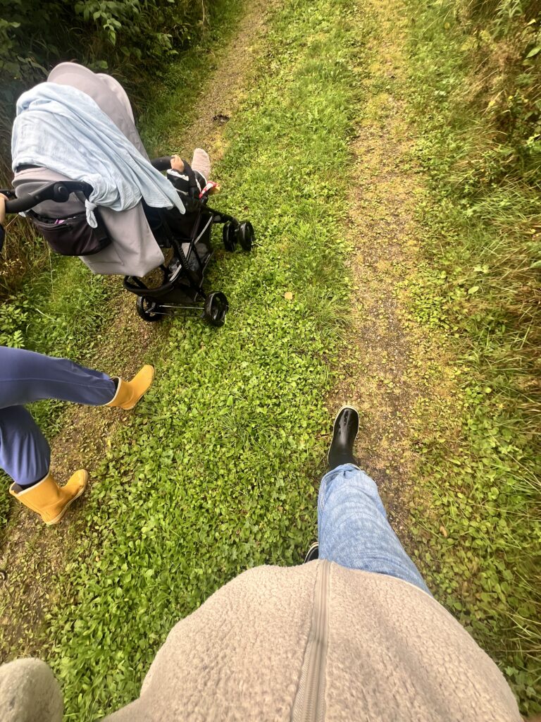 Lugn morgonpromenad längs en stugväg i den finländska naturen