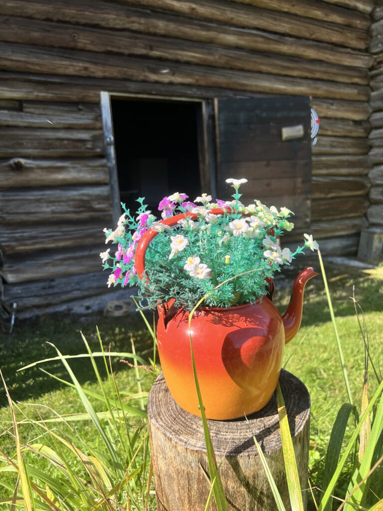 Stugliv i finland