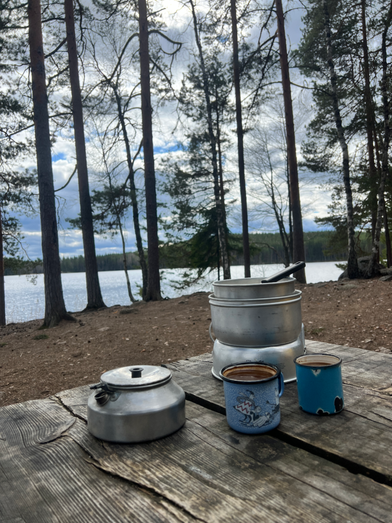 blogg om att vara finlandssvensk