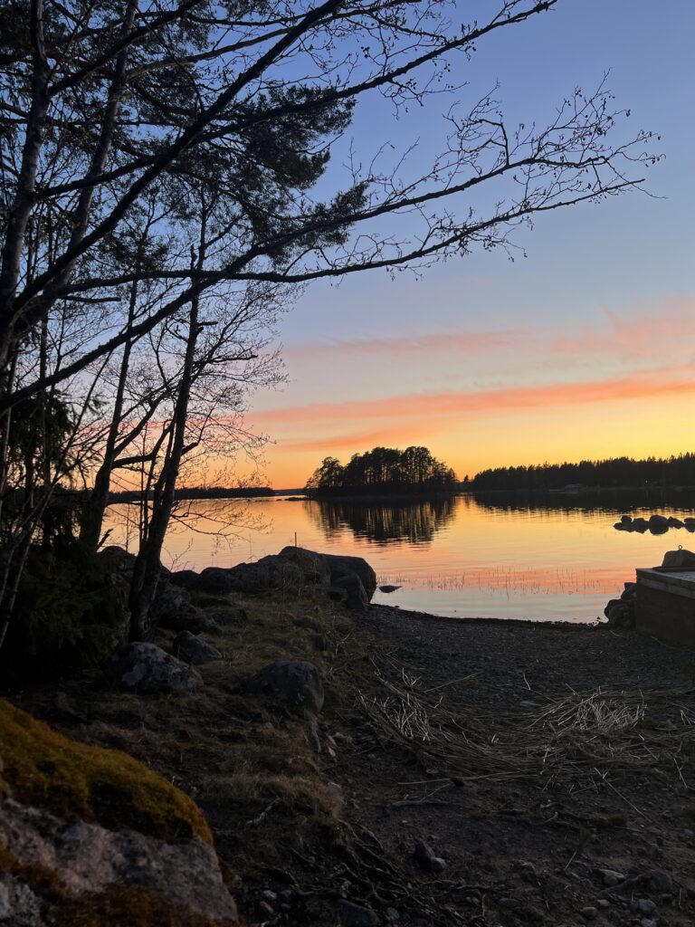 finlandssvensk betydelse 