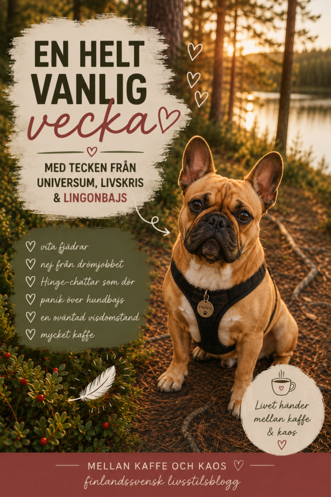 vardagsblogg 2026